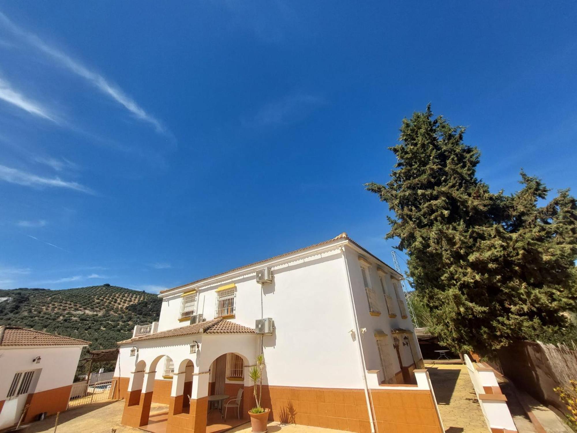 Casa Pino Solo Apartment Iznajar Ngoại thất bức ảnh
