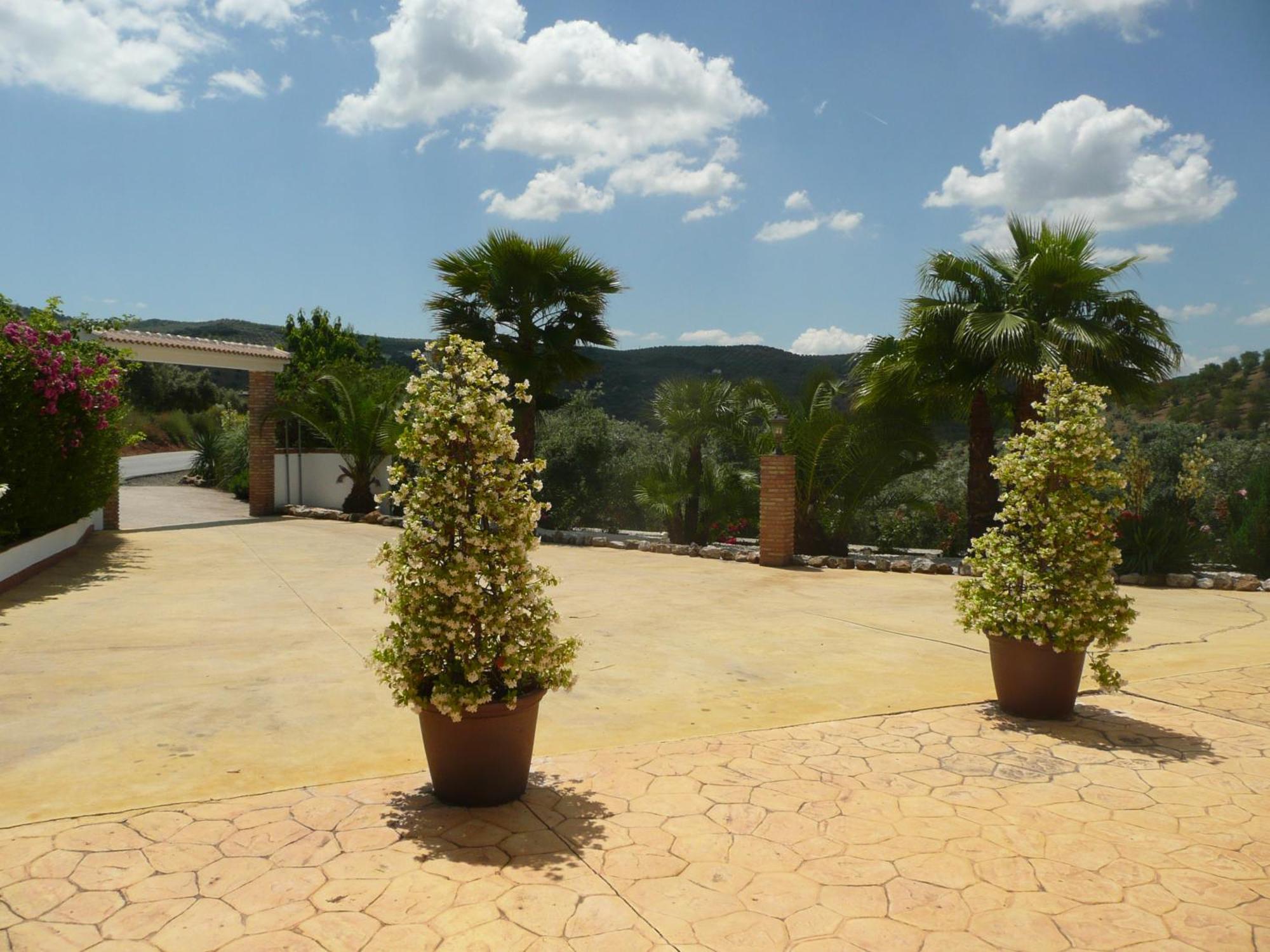 Casa Pino Solo Apartment Iznajar Ngoại thất bức ảnh